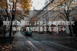 警方緊急回應(yīng)，14歲少年被圍毆致死事件，真相調(diào)查正在進(jìn)行中