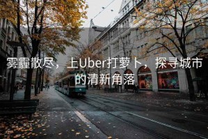 霧霾散盡，上Uber打蘿卜，探尋城市的清新角落