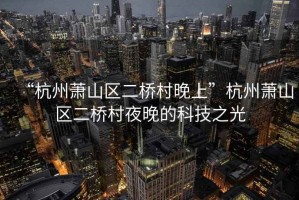 “杭州蕭山區(qū)二橋村晚上”杭州蕭山區(qū)二橋村夜晚的科技之光