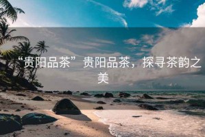 “貴陽品茶”貴陽品茶，探尋茶韻之美