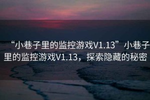 “小巷子里的監(jiān)控游戲V1.13”小巷子里的監(jiān)控游戲V1.13，探索隱藏的秘密