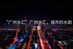 “廣州水匯”廣州水匯，城市的水韻之美