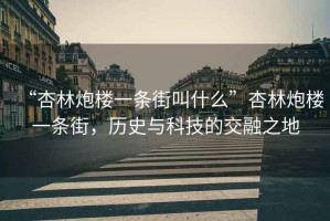 “杏林炮樓一條街叫什么”杏林炮樓一條街，歷史與科技的交融之地
