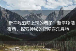 “新平嘎灑晚上玩的巷子”新平嘎灑夜巷，探索神秘的夜晚娛樂勝地