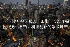 “長沙開福區(qū)服務一條街”長沙開福區(qū)服務一條街，科技創(chuàng)新的繁榮地帶