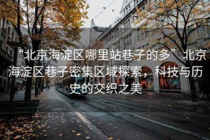 “北京海淀區(qū)哪里站巷子的多”北京海淀區(qū)巷子密集區(qū)域探索，科技與歷史的交織之美