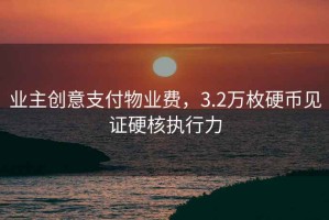 業(yè)主創(chuàng)意支付物業(yè)費(fèi)，3.2萬(wàn)枚硬幣見(jiàn)證硬核執(zhí)行力