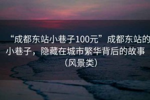 “成都東站小巷子100元”成都東站的小巷子，隱藏在城市繁華背后的故事（風(fēng)景類）