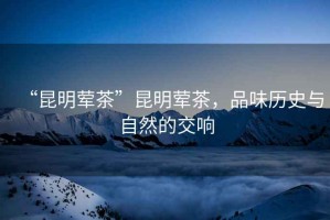 “昆明葷茶”昆明葷茶，品味歷史與自然的交響