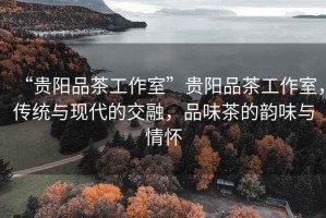 “貴陽(yáng)品茶工作室”貴陽(yáng)品茶工作室，傳統(tǒng)與現(xiàn)代的交融，品味茶的韻味與情懷