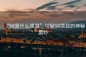 “98是什么項(xiàng)目”揭秘98項(xiàng)目的神秘面紗