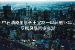 中石油原董事長王宜林一審獲刑13年，反腐風暴再掀高潮
