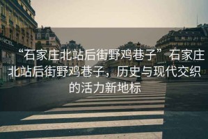 “石家莊北站后街野雞巷子”石家莊北站后街野雞巷子，歷史與現(xiàn)代交織的活力新地標(biāo)