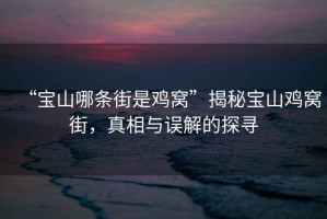 “寶山哪條街是雞窩”揭秘寶山雞窩街，真相與誤解的探尋