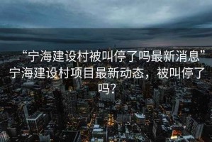 “寧海建設(shè)村被叫停了嗎最新消息”寧海建設(shè)村項(xiàng)目最新動態(tài)，被叫停了嗎？