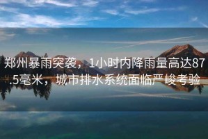 鄭州暴雨突襲，1小時(shí)內(nèi)降雨量高達(dá)87.5毫米，城市排水系統(tǒng)面臨嚴(yán)峻考驗(yàn)