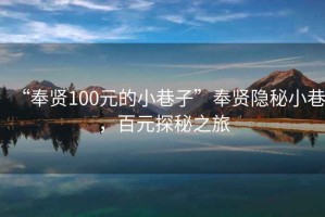 “奉賢100元的小巷子”奉賢隱秘小巷，百元探秘之旅