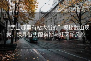 “武山哪里有站大街的”揭秘武山現(xiàn)象，探尋街頭服務(wù)站與社區(qū)新風(fēng)貌