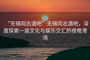 “無錫同志酒吧”無錫同志酒吧，深度探索一座文化與娛樂交匯的夜晚港灣