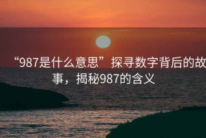 “987是什么意思”探尋數(shù)字背后的故事，揭秘987的含義