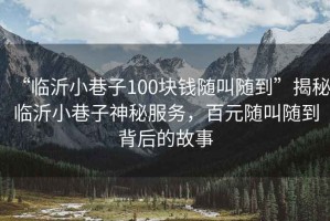“臨沂小巷子100塊錢隨叫隨到”揭秘臨沂小巷子神秘服務(wù)，百元隨叫隨到背后的故事