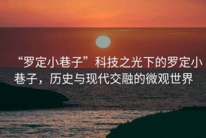 “羅定小巷子”科技之光下的羅定小巷子，歷史與現(xiàn)代交融的微觀世界