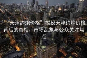 “天津約炮價格”揭秘天津約炮價格背后的真相，市場亂象與公眾關(guān)注焦點