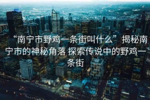“南寧市野雞一條街叫什么”揭秘南寧市的神秘角落 探索傳說(shuō)中的野雞一條街