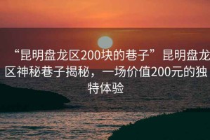 “昆明盤龍區(qū)200塊的巷子”昆明盤龍區(qū)神秘巷子揭秘，一場價(jià)值200元的獨(dú)特體驗(yàn)