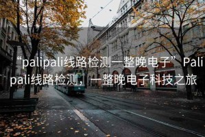 “palipali線路檢測一整晚電子”Palipali線路檢測，一整晚電子科技之旅
