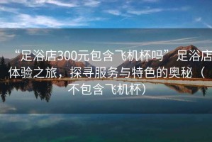 “足浴店300元包含飛機(jī)杯嗎”足浴店體驗(yàn)之旅，探尋服務(wù)與特色的奧秘（不包含飛機(jī)杯）