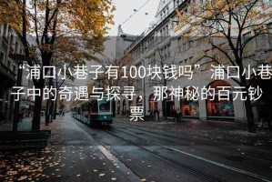 “浦口小巷子有100塊錢嗎”浦口小巷子中的奇遇與探尋，那神秘的百元鈔票