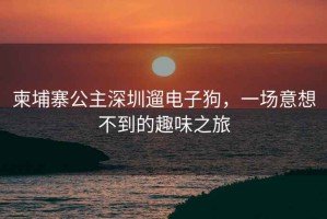 柬埔寨公主深圳遛電子狗，一場意想不到的趣味之旅