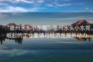 “泉州水頭小東莞”泉州水頭小東莞，崛起的工業(yè)重鎮(zhèn)與經(jīng)濟(jì)發(fā)展新動(dòng)力