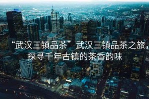 “武漢三鎮(zhèn)品茶”武漢三鎮(zhèn)品茶之旅，探尋千年古鎮(zhèn)的茶香韻味