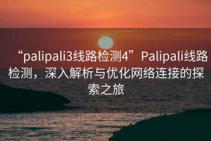 “palipali3線路檢測(cè)4”P(pán)alipali線路檢測(cè)，深入解析與優(yōu)化網(wǎng)絡(luò)連接的探索之旅