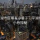“平湖市區(qū)哪有小巷子”平湖市區(qū)的小巷探秘