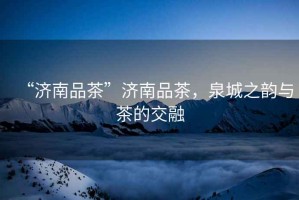 “濟南品茶”濟南品茶，泉城之韻與茶的交融