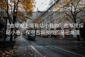 “曲阜晚上哪有站小巷的”曲阜夜探站小巷，探尋古城夜晚的秘密角落