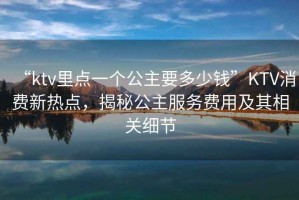 “ktv里點一個公主要多少錢”KTV消費新熱點，揭秘公主服務(wù)費用及其相關(guān)細節(jié)