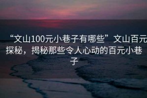 “文山100元小巷子有哪些”文山百元探秘，揭秘那些令人心動的百元小巷子