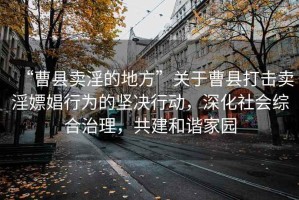 “曹縣賣淫的地方”關(guān)于曹縣打擊賣淫嫖娼行為的堅(jiān)決行動，深化社會綜合治理，共建和諧家園