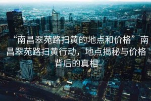 “南昌翠苑路掃黃的地點(diǎn)和價(jià)格”南昌翠苑路掃黃行動(dòng)，地點(diǎn)揭秘與價(jià)格背后的真相