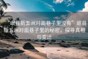 “岷縣新五洲對面巷子里沒有”岷縣新五洲對面巷子里的秘密，探尋真相與變遷