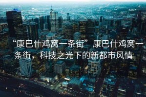 “康巴什雞窩一條街”康巴什雞窩一條街，科技之光下的新都市風(fēng)情