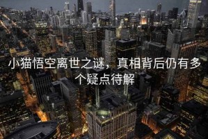 小貓悟空離世之謎，真相背后仍有多個(gè)疑點(diǎn)待解