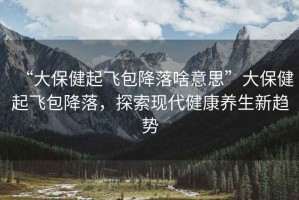 “大保健起飛包降落啥意思”大保健起飛包降落，探索現(xiàn)代健康養(yǎng)生新趨勢(shì)