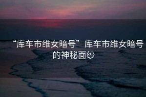 “庫(kù)車市維女暗號(hào)”庫(kù)車市維女暗號(hào)的神秘面紗