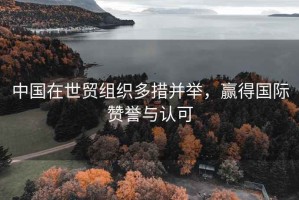 中國(guó)在世貿(mào)組織多措并舉，贏得國(guó)際贊譽(yù)與認(rèn)可