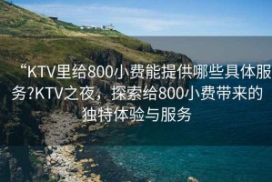 “KTV里給800小費(fèi)能提供哪些具體服務(wù)?KTV之夜，探索給800小費(fèi)帶來(lái)的獨(dú)特體驗(yàn)與服務(wù)